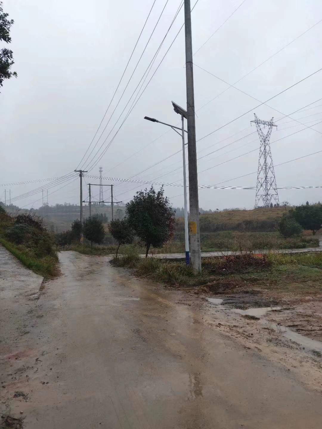 農村新裝的太陽能路燈